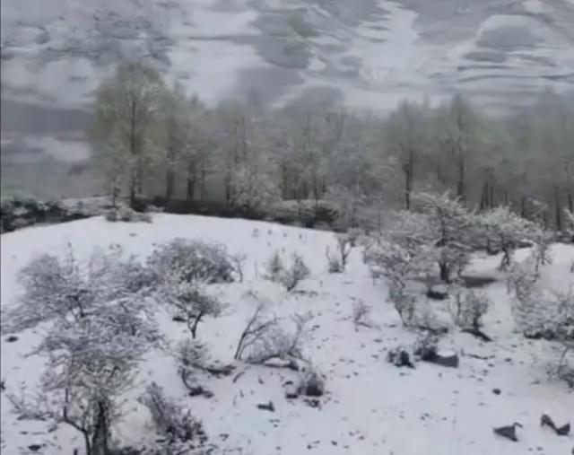 青海省近日出现“五月飞雪”，天气太反常？其实赤道地区也会下雪