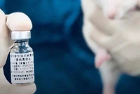 港股生物科技股踩踏事件水落石出：小摩抛售康希诺推倒多米诺