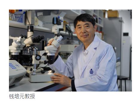 铁布衫的鼻祖：香港科技大学解码“海洋穿山甲”基因組