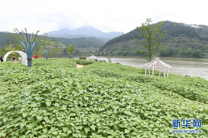 福建顺昌：全面推进水美城市建设