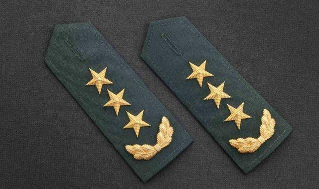 张召忠坐地铁,警察随机检查证件,铁警被吓了一跳,将军还坐地铁|军衔