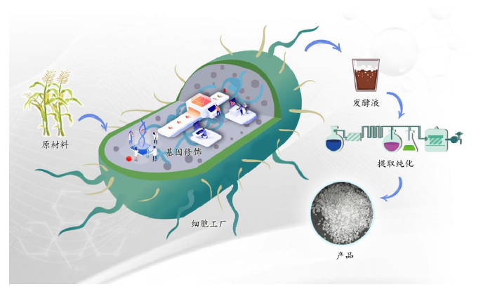 图片来源：招股说明书