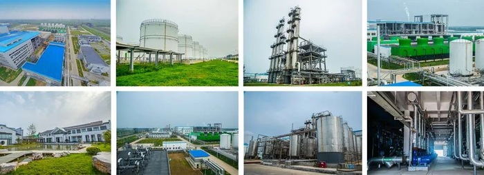 图片来源：凯赛生物官网