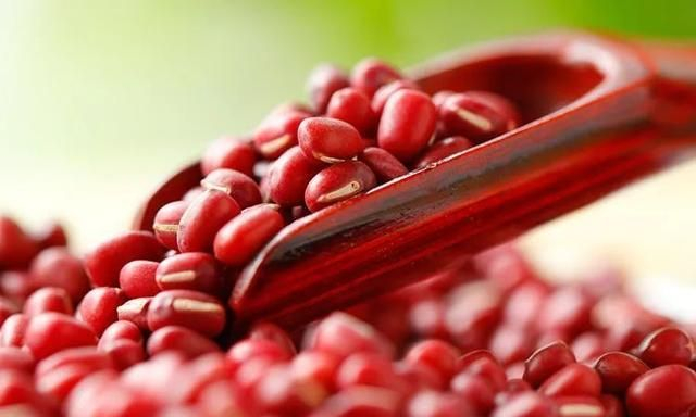 王维《相思》诗词中的“红豆”，究竟指的是哪一种植物？