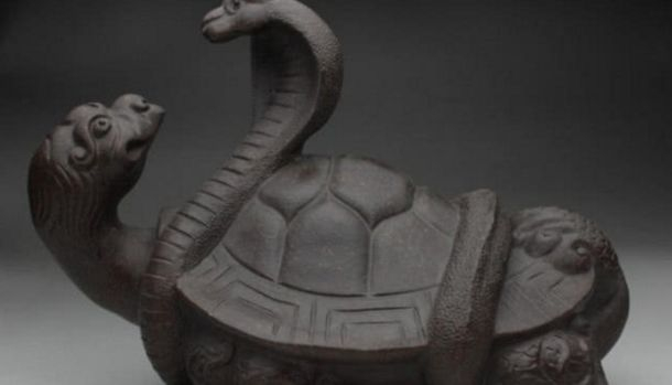 被人类吃到灭绝的卷角龟,竟与中国古代神话玄武相似