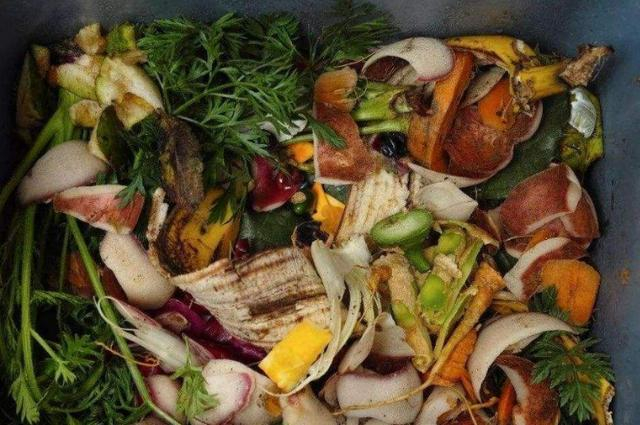 下面就来说说,日常生活中,哪些东西可以转化为养花肥,供应花草植物