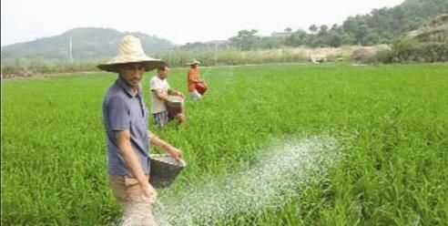 鱼塘专用尿素,磷肥同普通磷肥,尿素有区别吗?