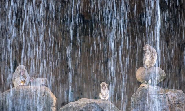 《西游记》丹经揭秘——石猴出世这段文字概况了道家的世界观