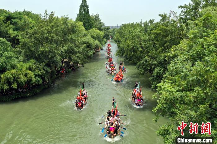 图为往年龙舟赛 西溪湿地供图