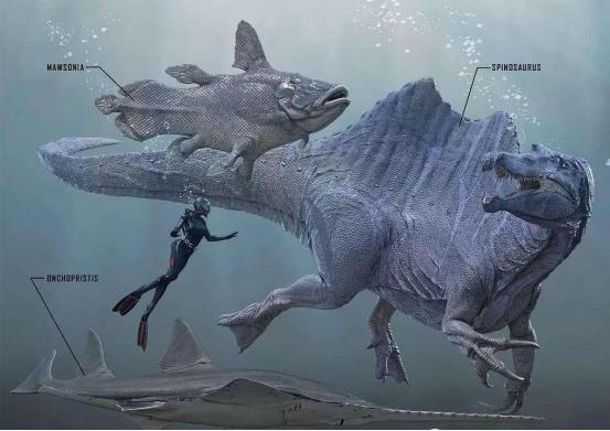 棘龙的身份一直被误解，古生物学家研究发现，它可能生活在水里