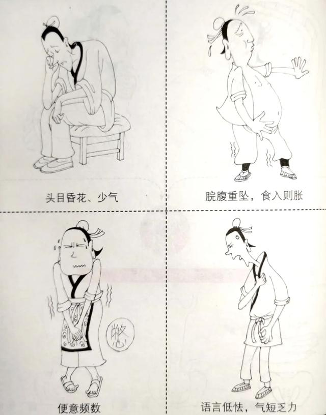 脾的疾病辨证|脾气|劳倦|脉管_新浪新闻