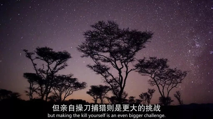 50部优质纪录片，陪孩子共同成长（内附观看链接）