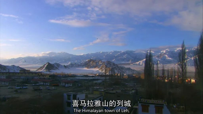 50部优质纪录片，陪孩子共同成长（内附观看链接）