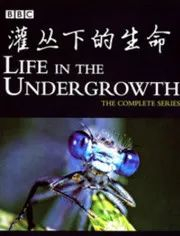 50部优质纪录片，陪孩子共同成长（内附观看链接）