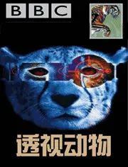 50部优质纪录片，陪孩子共同成长（内附观看链接）