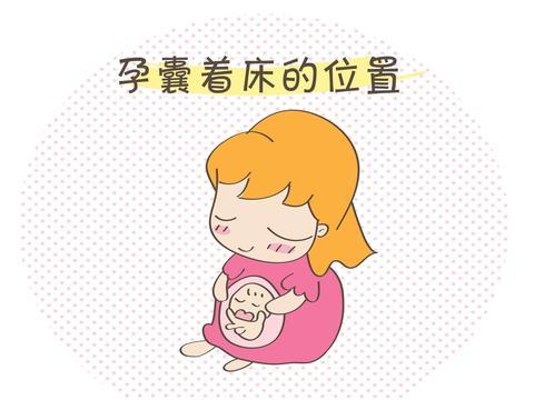 同为孕中期，一个“上怀”，一个 “下怀”？和生男女有关系吗？