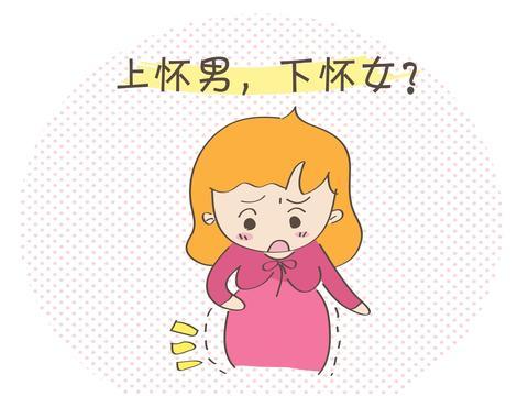 同为孕中期，一个“上怀”，一个 “下怀”？和生男女有关系吗？