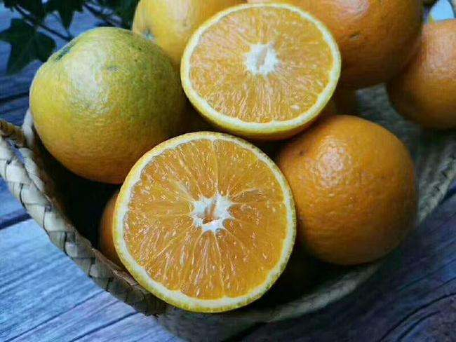 湖北秭归夏橙,酸甜爽口,风味独特,你吃过吗?|夏橙|秭归|橙子_新浪新闻