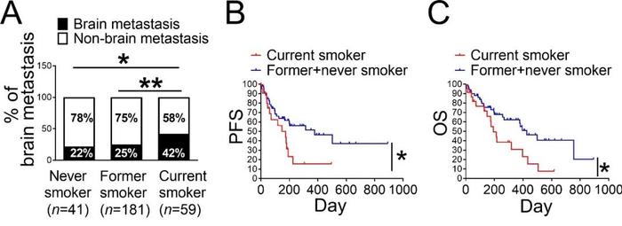 JEM：破解吸烟促进肺癌细胞钻入大脑之谜！科学家发现尼古丁能改变小胶质细胞特性，让大脑变得适合癌细胞生长丨科学大发现
