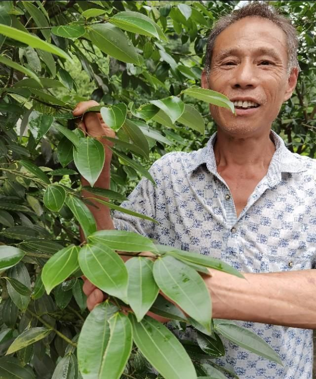 做鸡笼,如何让鸡纷纷进笼?一农民这样做_新浪新闻