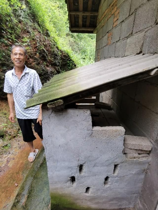 做鸡笼,如何让鸡纷纷进笼?一农民这样做_新浪新闻