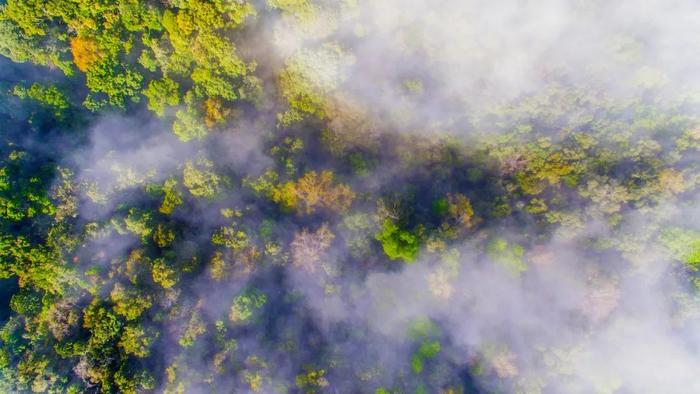 国内最美的8个避暑胜地！人少景美，来这些地方过一个20℃的夏天吧！