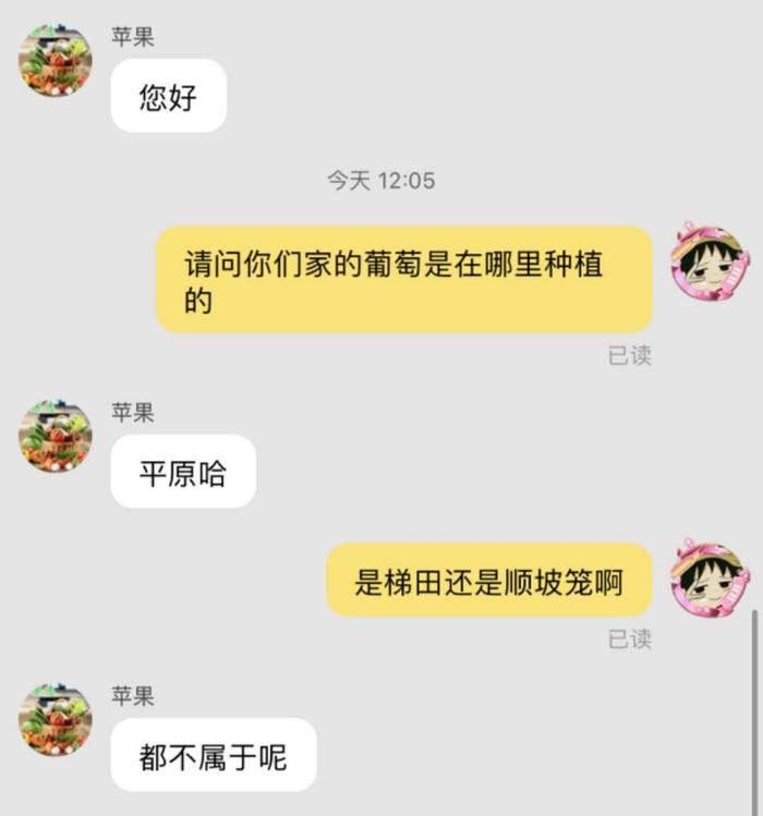 总结发言：今年的高考题，仿佛是一场梦