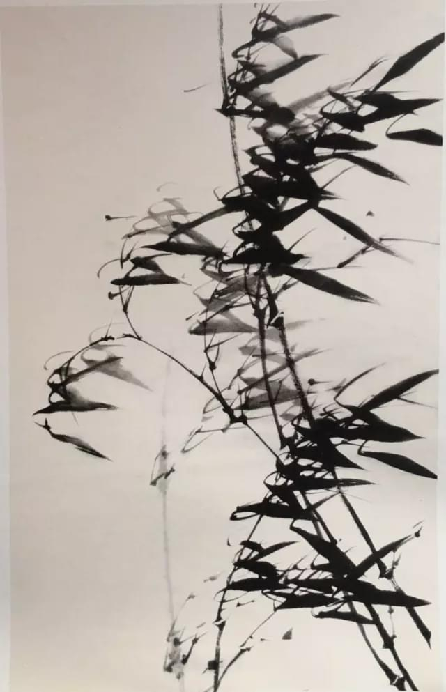 国画竹子的绘画技法,详细实用!_新浪新闻