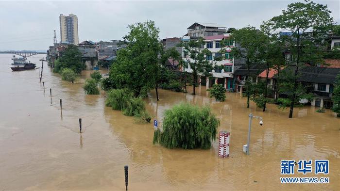 强降雨引发广西融江水位暴涨