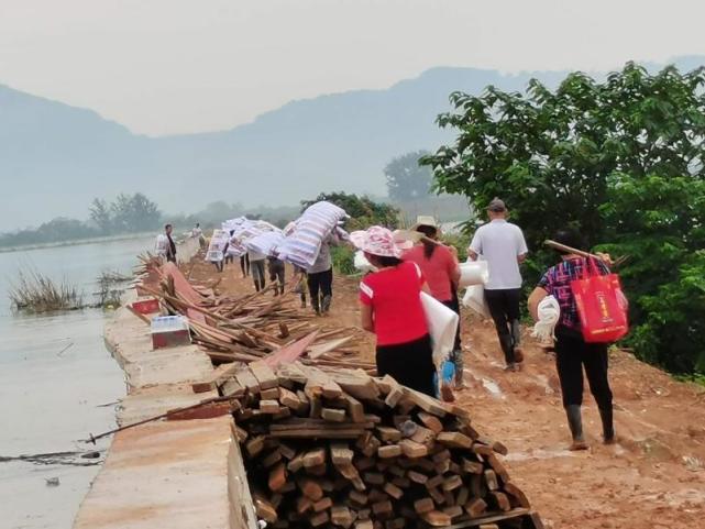 阳新县半壁山管理区：全员上阵 力保王港