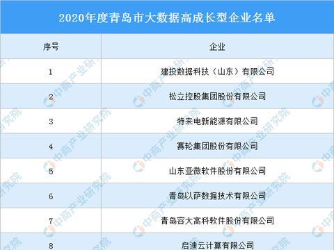 2020年度青岛市大数据高成长型企业名单