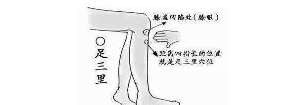对于少阳主骨及少阳经绝骨穴的思考和临床运用