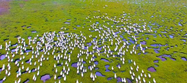 大半都免费！四川这7处仙境花海，风景纯净又小众，最快2天耍来回