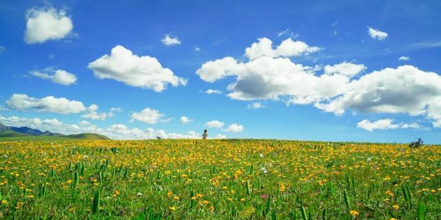 大半都免费！四川这7处仙境花海，风景纯净又小众，最快2天耍来回