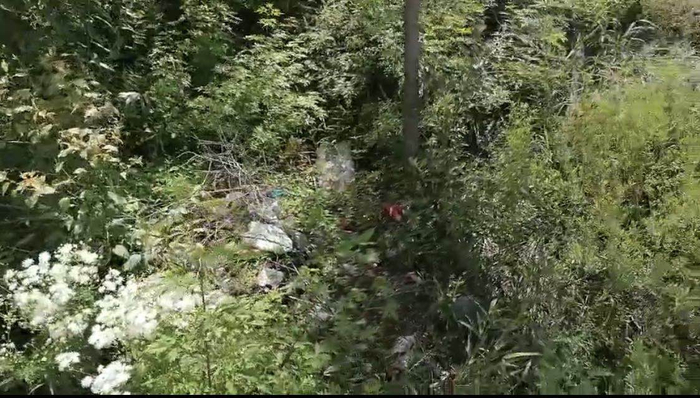 警方发现农药瓶玻璃碎片的山坡距离靳金保家直线距离不到50米。澎湃新闻记者 陈雷柱 图