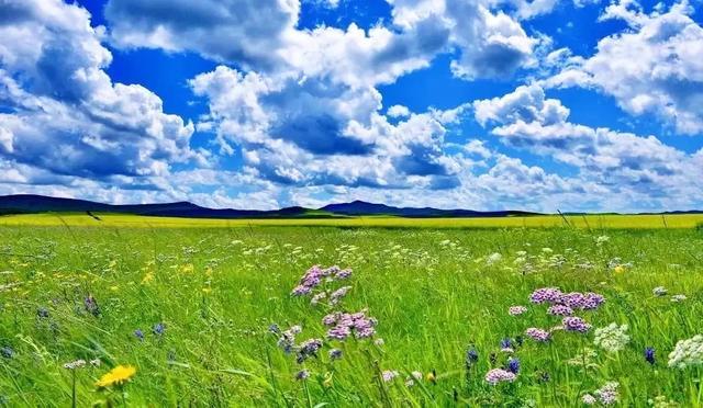 大半都免费！四川这7处仙境花海，风景纯净又小众，最快2天耍来回