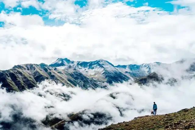 大半都免费！四川这7处仙境花海，风景纯净又小众，最快2天耍来回