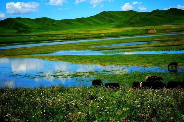 大半都免费！四川这7处仙境花海，风景纯净又小众，最快2天耍来回