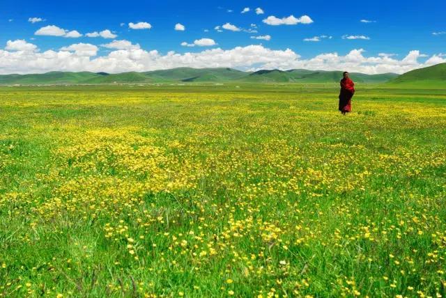 大半都免费！四川这7处仙境花海，风景纯净又小众，最快2天耍来回