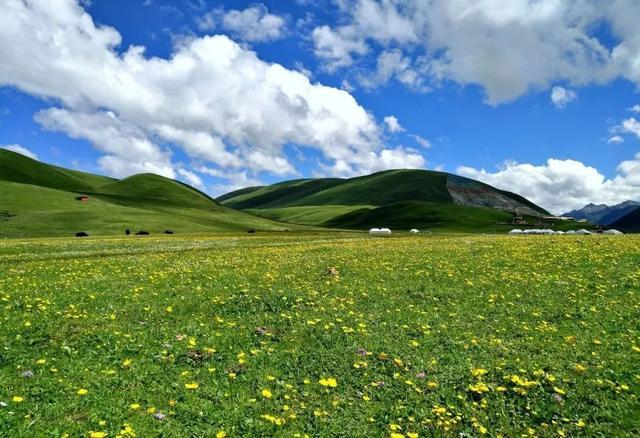 大半都免费！四川这7处仙境花海，风景纯净又小众，最快2天耍来回