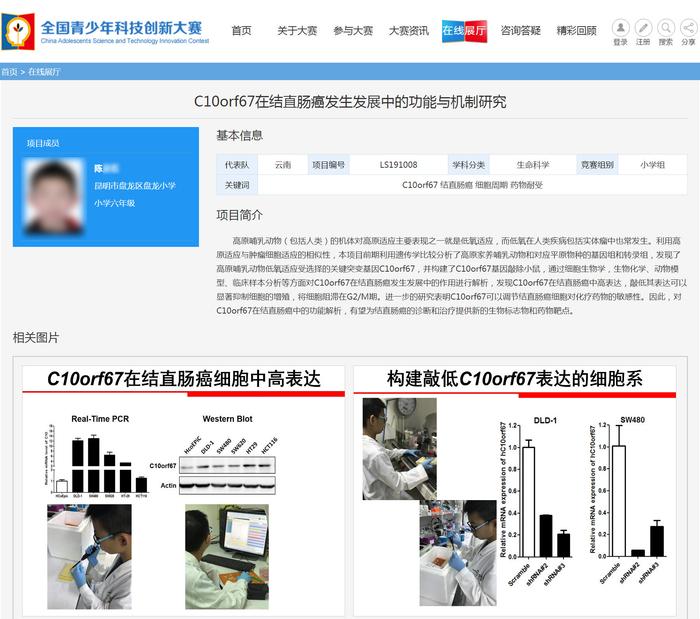 大赛组委会回应“小学生研究癌症获奖”：已成立调查工作组