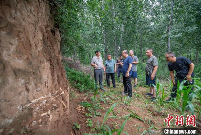 山西高平发现疑似长平之战尸骨坑。　郭中海 摄