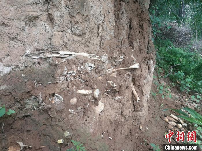 尸骨坑。　李吉毅 摄