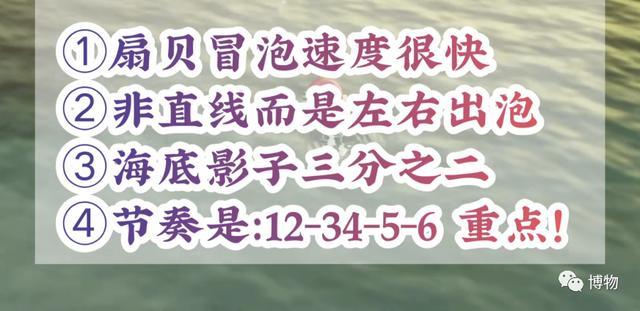 Hi，一起抓砗磲吗？牢底座穿那种！