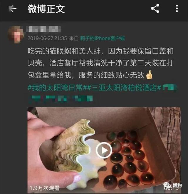 Hi，一起抓砗磲吗？牢底座穿那种！