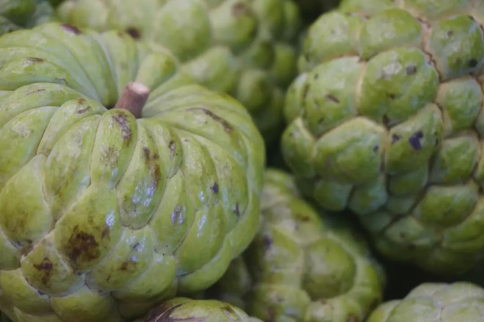 农村外来的水果,一个可以卖到40元,农民叫它释迦果