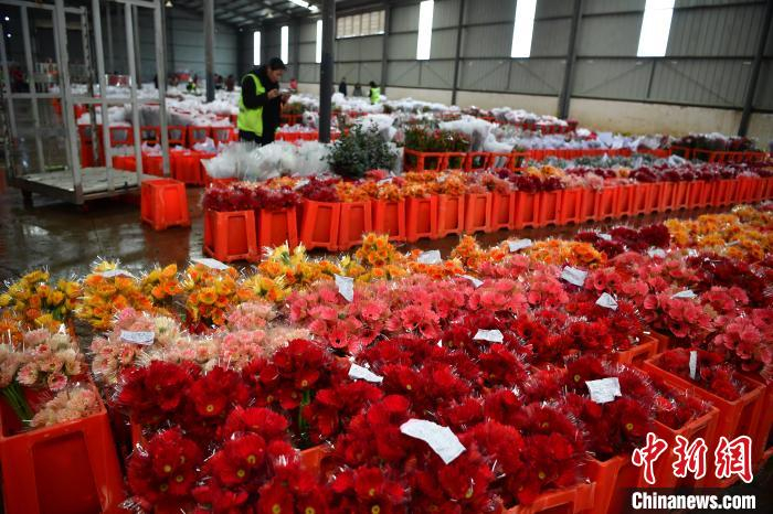 图为昆明花拍中心(资料图)。　胡远航 摄