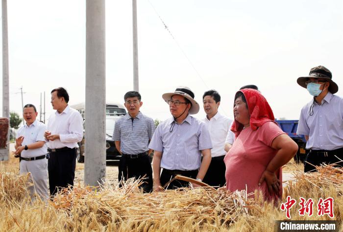 农发行山东省分行行长赵富洲赴菏泽定陶区仿山镇实地查看夏收现场。农发行山东省分行 供图