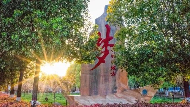 南阳师范学院2020年运动训练专业单招录取公示