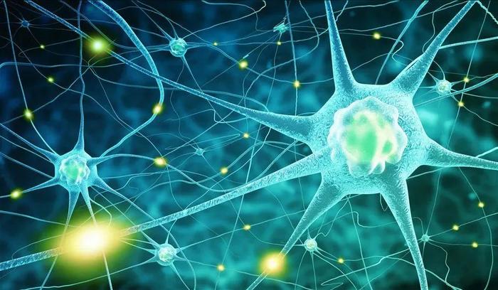 麻省理工：衰老神经元会积累DNA损伤，有助改善记忆和认知能力！